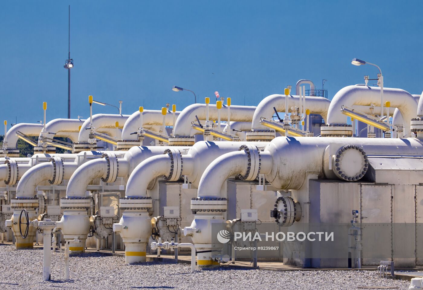 Центрально-европейский газовый хаб в Баумгартен